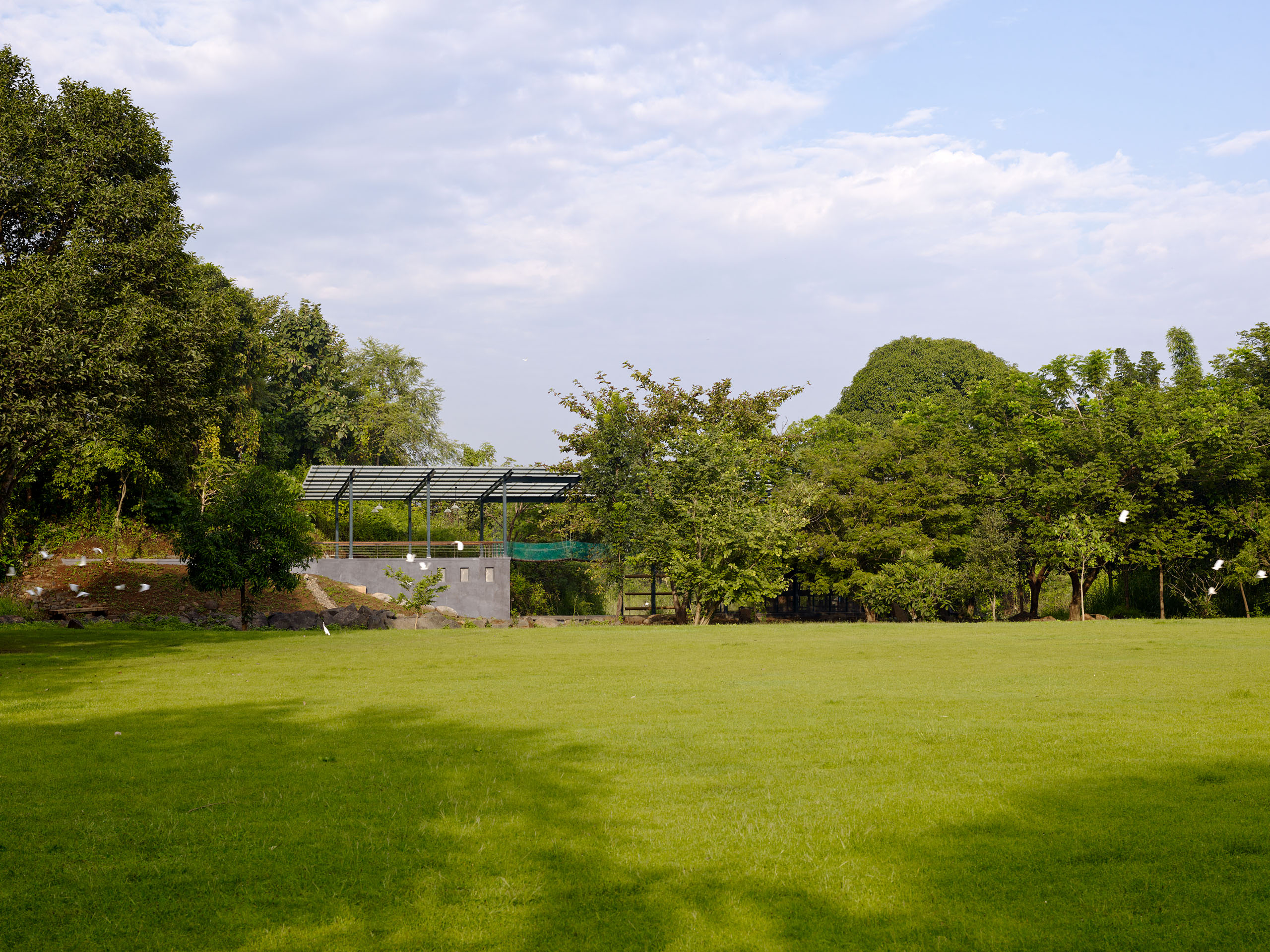 E13461 Alpa 040779 j2560